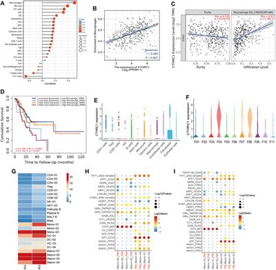 The molecular mechanisms of CTHRC1 in gastric cancer by integrating TCGA, GEO and GSA datasets